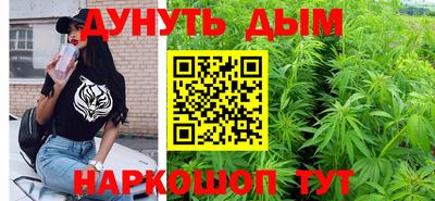 дмт Гай