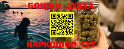 дмт Гай