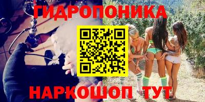 дмт Гай