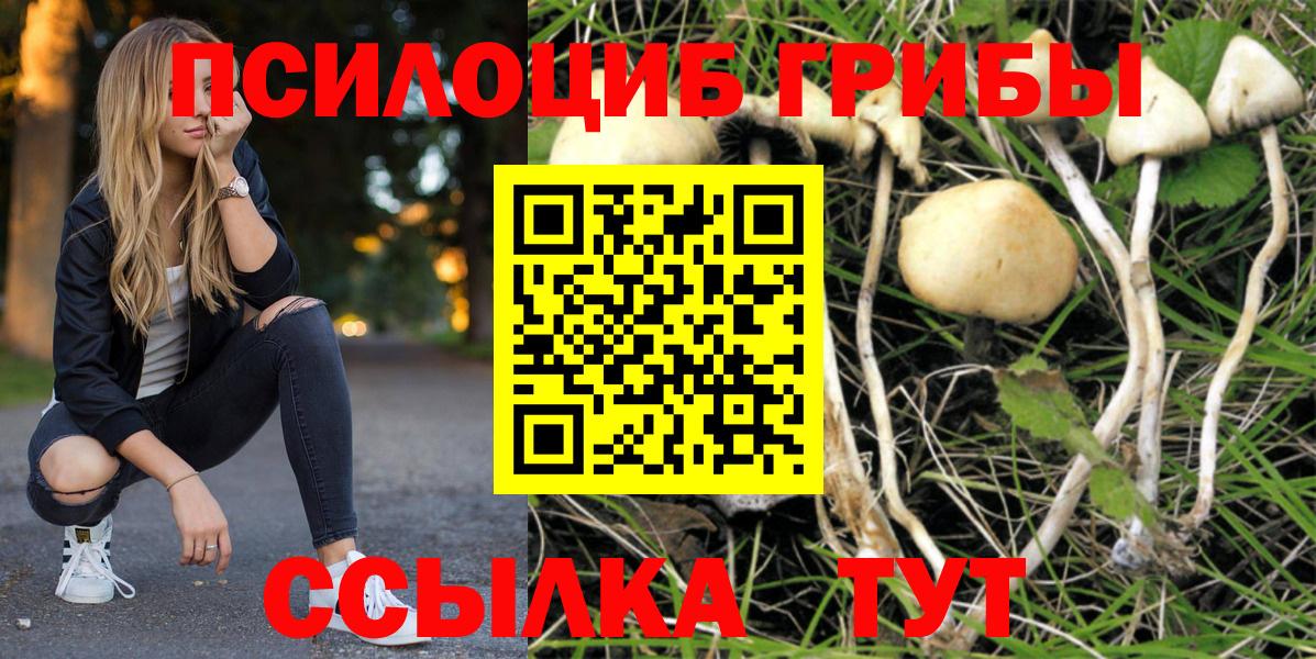 Мефедрон кристаллы  Бошки Шишки  COCAIN  Бор  A-PVP СК   Вход с VPN  Гашиш 