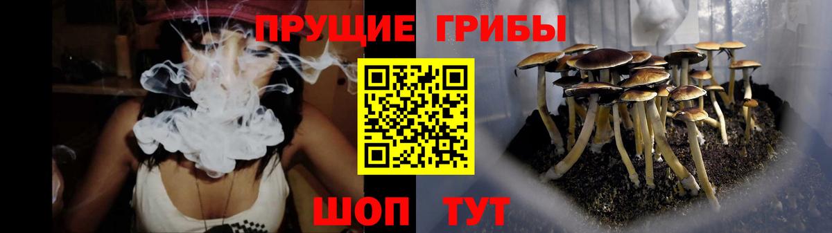 Бор  купить наркотик  Вход с VPN  Псилоцибиновые грибы прущие грибы 